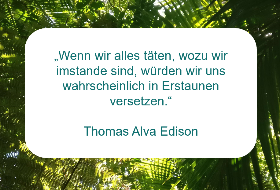 Zitat von Thomas Alva Edison auf www.achtsam-engagiert.de: "Wenn wir alles täten, wozu wir imstande sind, würden wir uns wahrlich in Erstaunen versetzen.“
