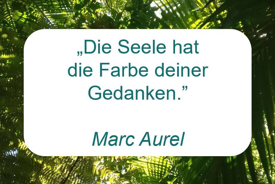 Zitat der Woche auf www.achtsam-engagiert.de von Marc Aurel "Die Seele hat die Farbe deiner Gedanken."