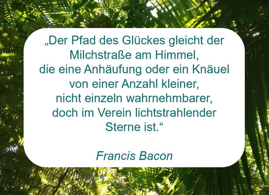 Zitat der Woche auf www.achtsa-engagiert.de von Francis Bacon: "Der Pfad des Glückes gleicht der Milchstraße am Himmel, die eine Anhäufung oder ein Knäuel von einer Anzahl kleiner, nicht einzeln wahrnehmbarer, doch im Verein lichtstrahlender Sterne ist.“