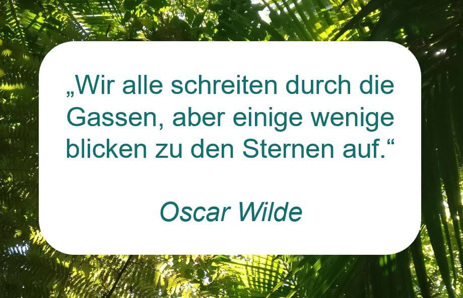 Zitat der Woche auf www.achtsam-engagiert.de von Oscar Wilde: "Wir alle schreiten durch die Gassen, aber einige wenige blicken zu den Sternen auf."