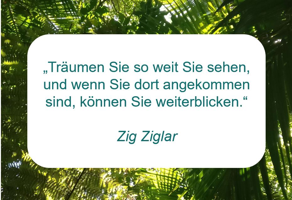 Zitat der Woche auf www.achtsam-engagiert.de "Träumen Sie so weit Sie sehen, und wenn Sie dort angekommen sind, können Sie weiterblicken." (Zig Ziglar)