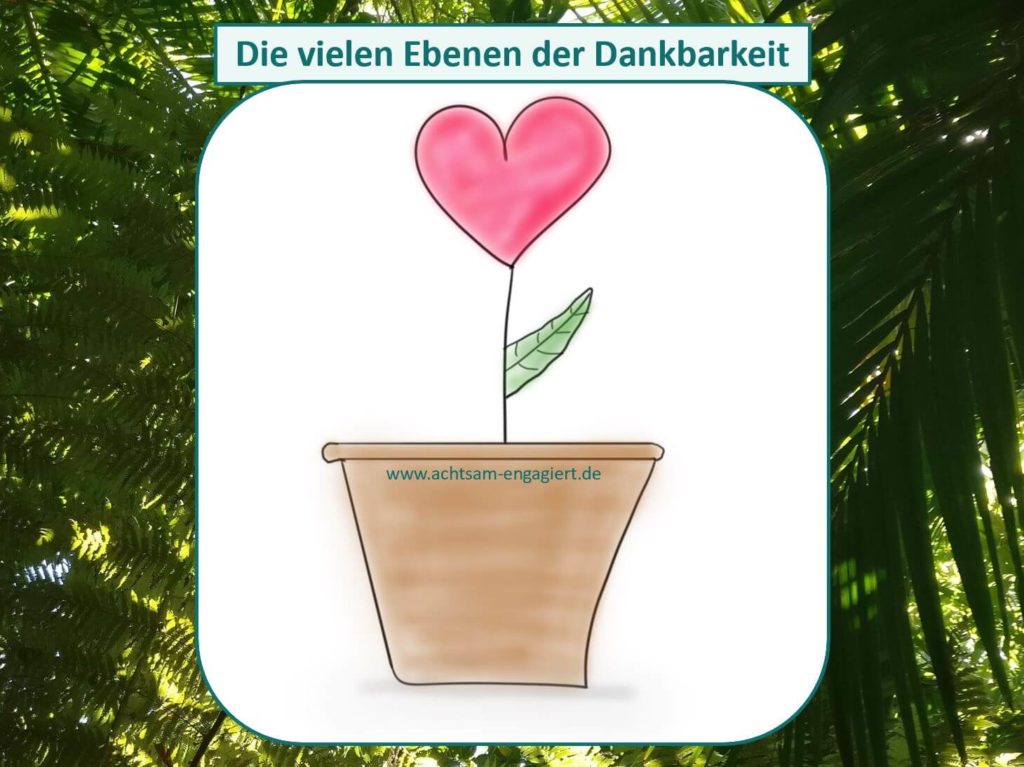 Das Bild zeigt eine herzförmige Blume, die für Dankbarkeit steht. Wie du in das Gefühl der Dankbarkeit eintauchen kannst, erfährst du in diesem Artikel mit einer Dankbarkeitsliste. Visualisiert von www.achtsam-engagiert.de