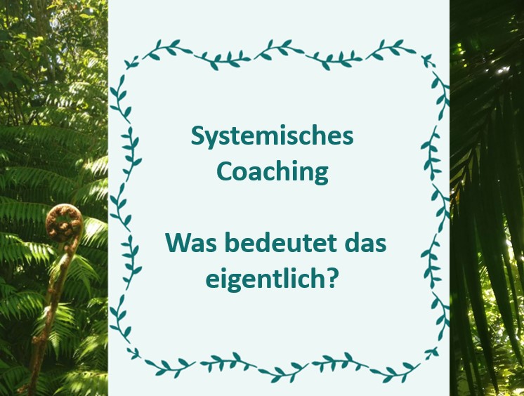 Systemisches Coaching: Was bedeutet das eigentlich