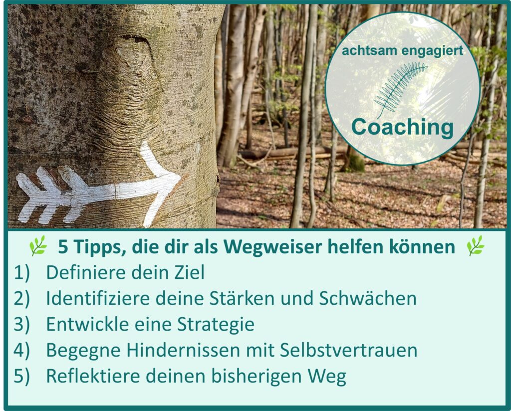 5 Tipps, die dir als Wegweiser auf deinem Karriereweg helfen können. Copyright: achtsam engagiert Coaching