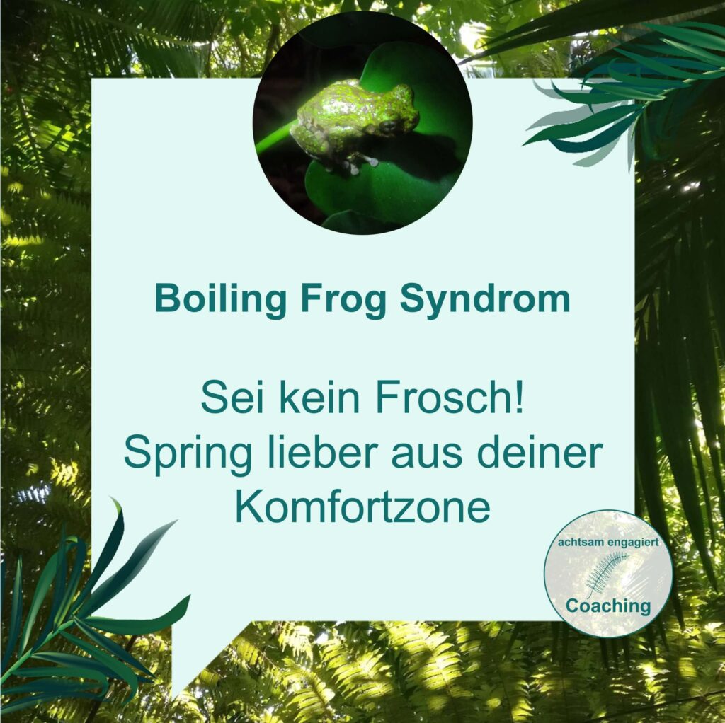 Boiling Frog Syndrom: Wie du deine Komfortzone verlässt. Visualisiert von www.achtsam-engagiert.de - dein systemisches Coaching in Hamburg oder online. 